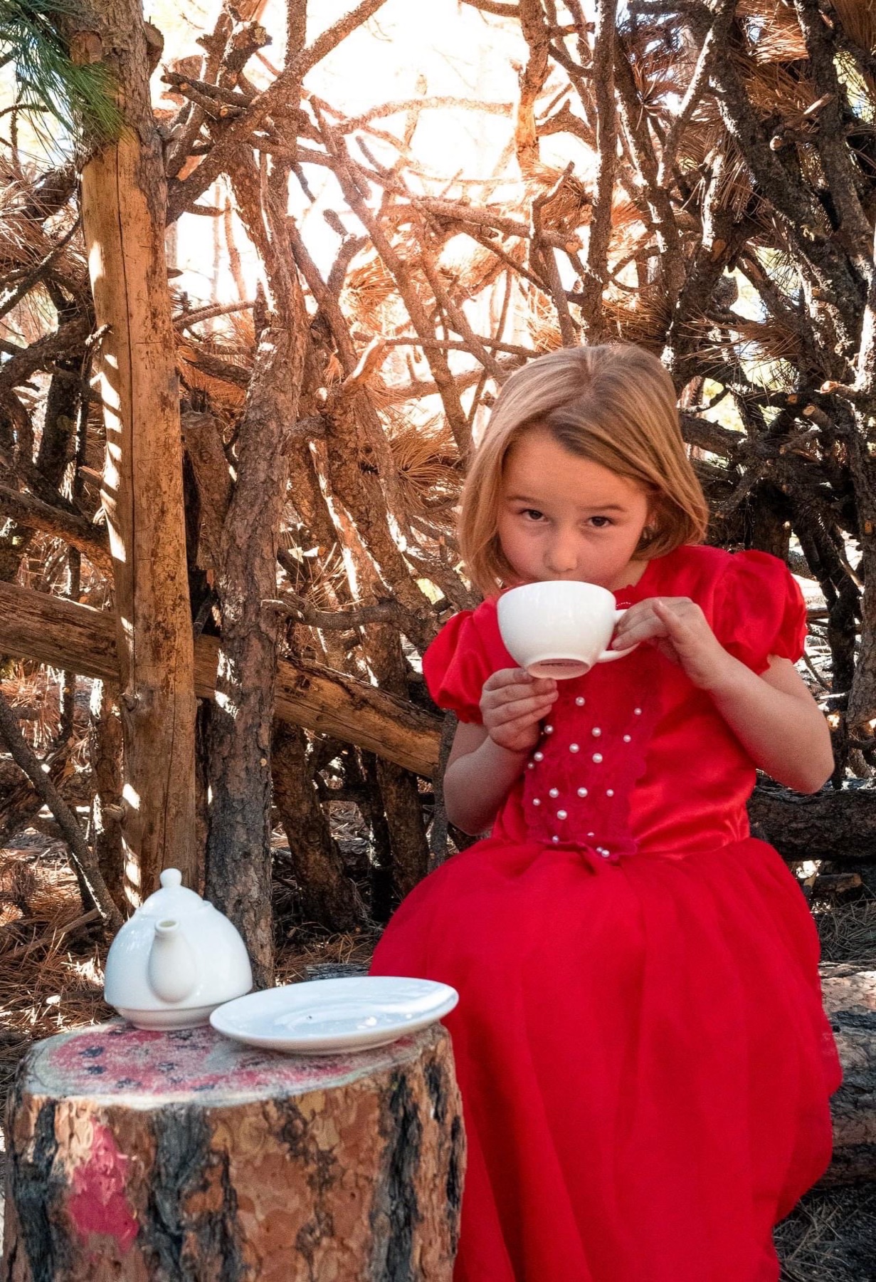Whimsical tea party in the woods